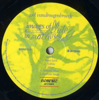 LP Joel Vandroogenbroeck: Images Of Flute In Nature