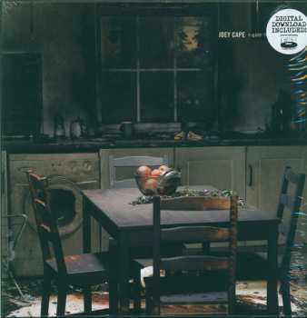 LP Joey Cape: A Good Year To Forget LTD | CLR