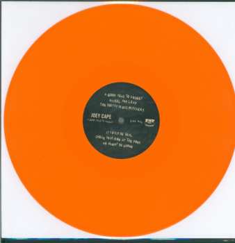 LP Joey Cape: A Good Year To Forget LTD | CLR
