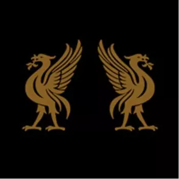 Liverbirds
