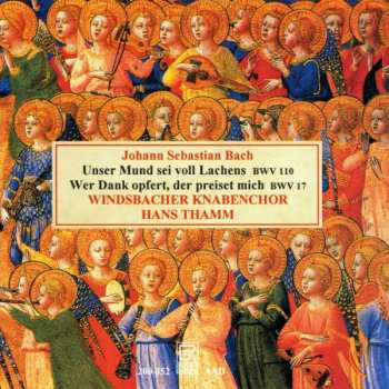 CD Johann Sebastian Bach: Kantaten Bwv 17 & 110
