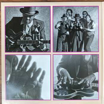 2LP John Lee Hooker: The Healer DLX | LTD