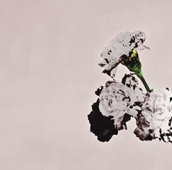 CD John Legend: Love In The Future 