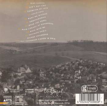 CD John Southworth: Small Town Water Tower