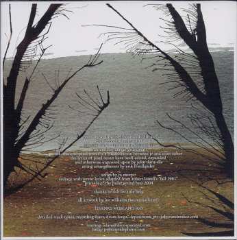 CD John Vanderslice: Pixel Revolt