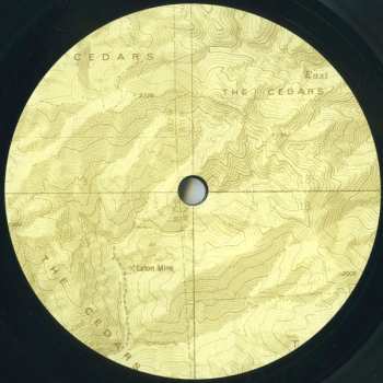 LP John Vanderslice: The Cedars