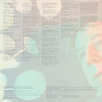 LP John Vanderslice: The Cedars