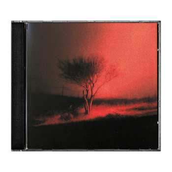 CD Joji: Piss in the Wind