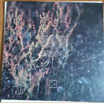 LP Jonny Nash: There Up, Behind The Moon LTD