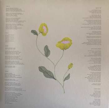 LP José González: Local Valley