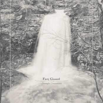 CD Joseph Decosimo: Fiery Gizzard