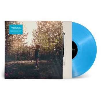 LP Josh Ritter: I Believe In You, My Hone