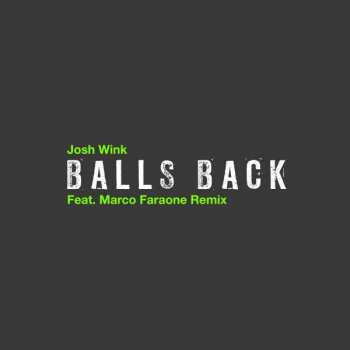 LP Josh Wink: Balls Back