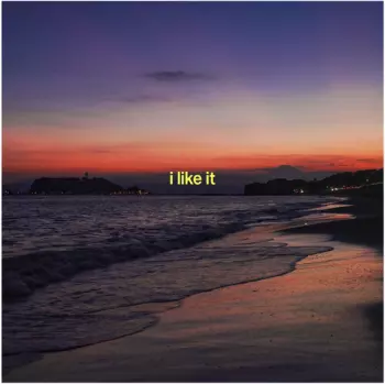 I Like It (feat. Yo-Sea, Lex & Io) 