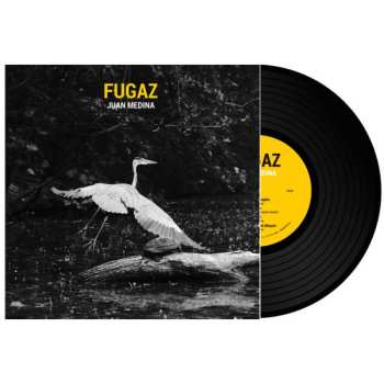 LP Juan Medina: Fugaz 