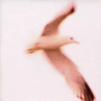 Album Julia Holter: Maria