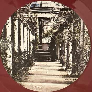 LP Oysterband: Ragged Kingdom LTD