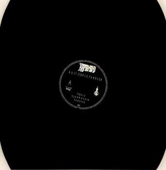 LP/CD Kap Bambino: Dust, Fierce, Forever