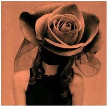 SP Karen Elson: 7-vicious