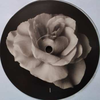 LP Kate Bush: The Sensual World CLR