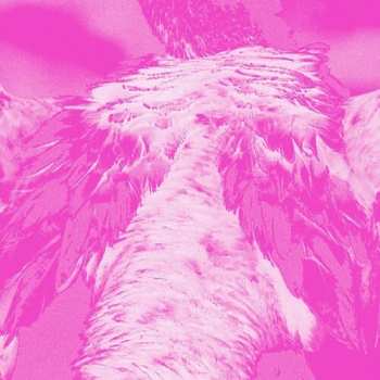 Album Kate Carr: A Field Guide To Phantasmic Birds