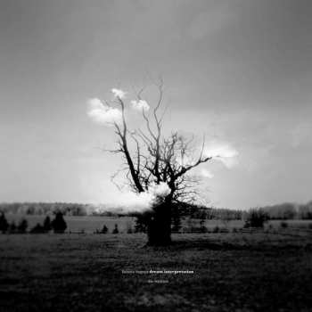 3LP Kazuya Nagaya: Dream Interpretation (The Remixes) CLR