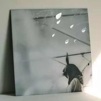 Hibiya Yaon No Ozawa Kenji