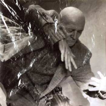 Album Kiev Stingl: Meine Sterne Fallen