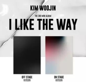 I Like The Way