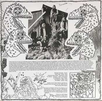 LP King Gizzard And The Lizard Wizard: 12 Bar Bruise CLR