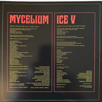 2LP King Gizzard And The Lizard Wizard: Ice, Death, Planets, Lungs, Mushrooms And Lava