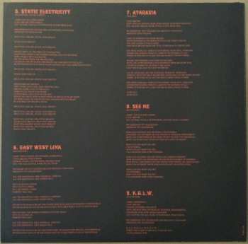LP King Gizzard And The Lizard Wizard: L​.​W. (Explorations Into Microtonal Tuning Vol. 3)