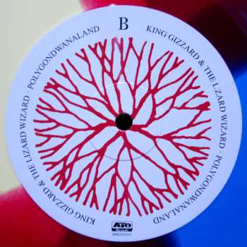LP King Gizzard And The Lizard Wizard: Polygondwanaland LTD | CLR