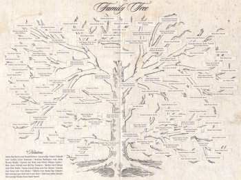 DVD Kings Of Leon: Talihina Sky