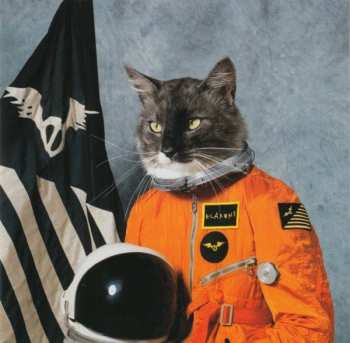CD Klaxons: Surfing The Void