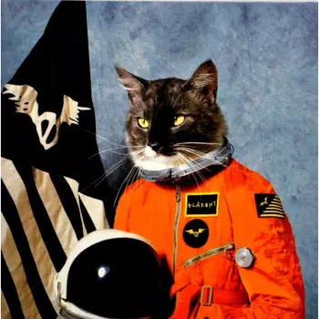 Surfing The Void