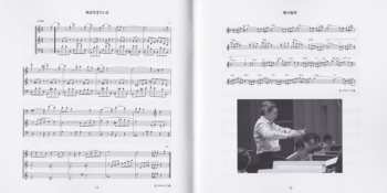 CD Tokyo Metropolitan Symphony Orchestra: 交響組曲「ドラゴンクエストＶ」天空の花嫁 = Symphonic Suite Dragon Quest V Tenku No Hanayome