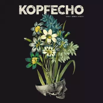 Kopfecho: Sehen / Hören / Fühlen