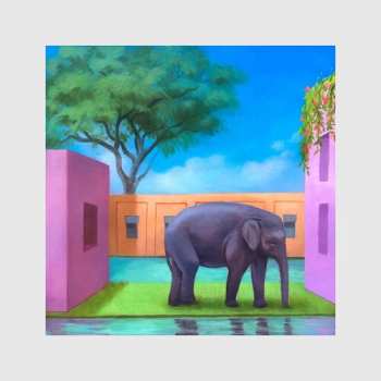 CD Korea Town Acid: Elephant In The Room