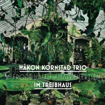 LP Kornstad Trio: Im Treibhaus