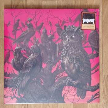 2LP Kvelertak: Endling CLR | LTD