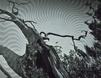 CD Kylesa: Spiral Shadow