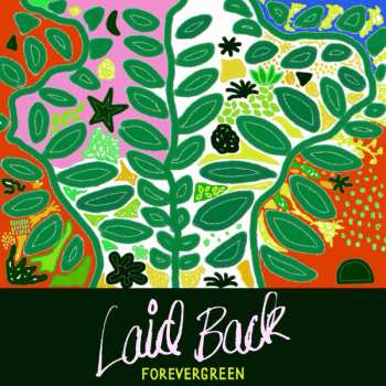 LP Laid Back: Forevergreen LTD | NUM