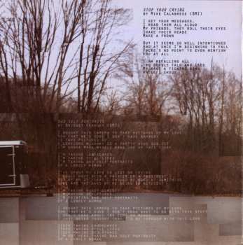 CD Lake Street Dive: Bad Self Portraits