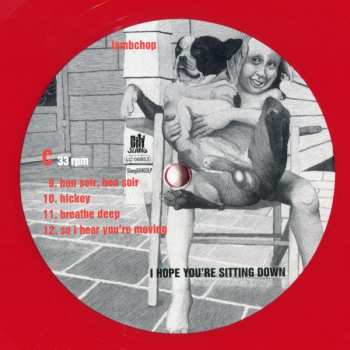 2LP Lambchop: I Hope You're Sitting Down LTD