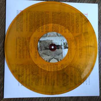 2LP Lambchop: The Bible LTD | CLR