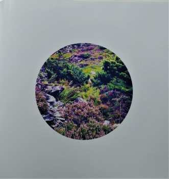LP Laniakea: A Pot Of Powdered Nettles LTD | CLR
