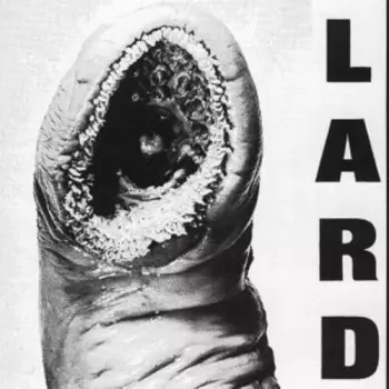 Lard: Power Of Lard EP