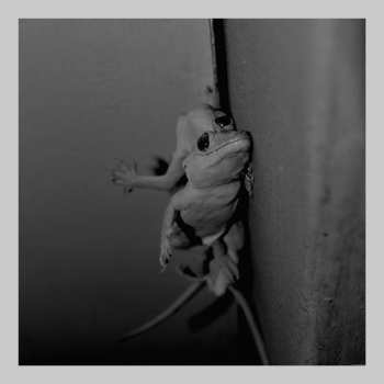 Album Lasse Marhaug: Nature Lovers