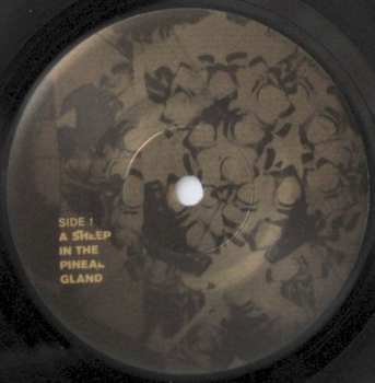 2SP Lasse Marhaug: The Orange Dome Chronicles